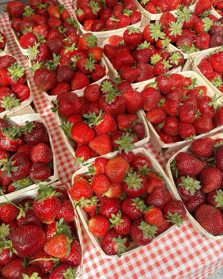Organic Berry Fusion: Nature's Sweet Ensemble